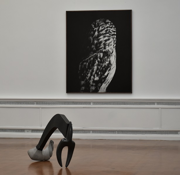 Permanent Collection Feb- May 2021